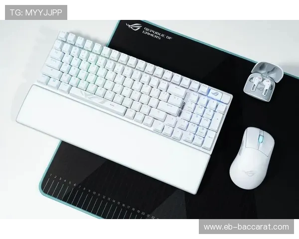 全铝机身电竞游戏机械键盘 打造极致手感与耐用体验